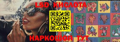 стафф Бийск