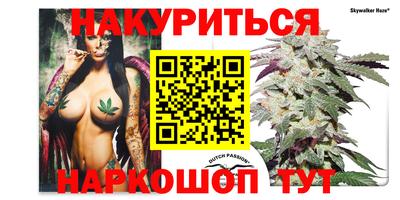 стафф Бийск